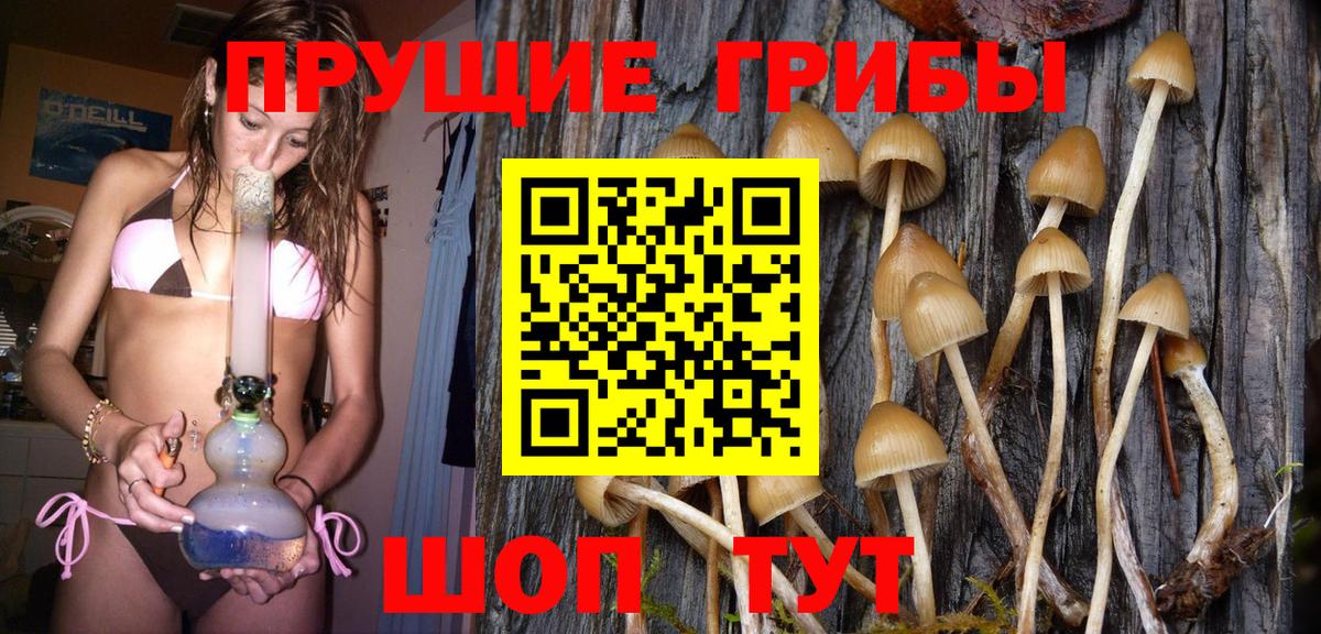 Галлюциногенные грибы Magic Shrooms  Вход с VPN  Псилоцибиновые грибы Magic Shrooms  Долгопрудный 